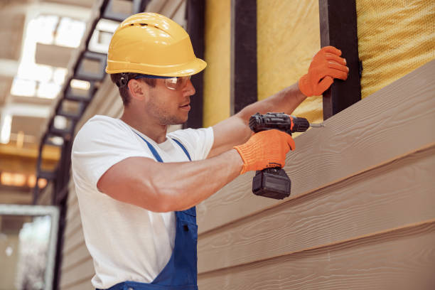 Best Siding Painting and Refinishing  in Adel, IA